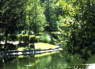 Parc du Casino